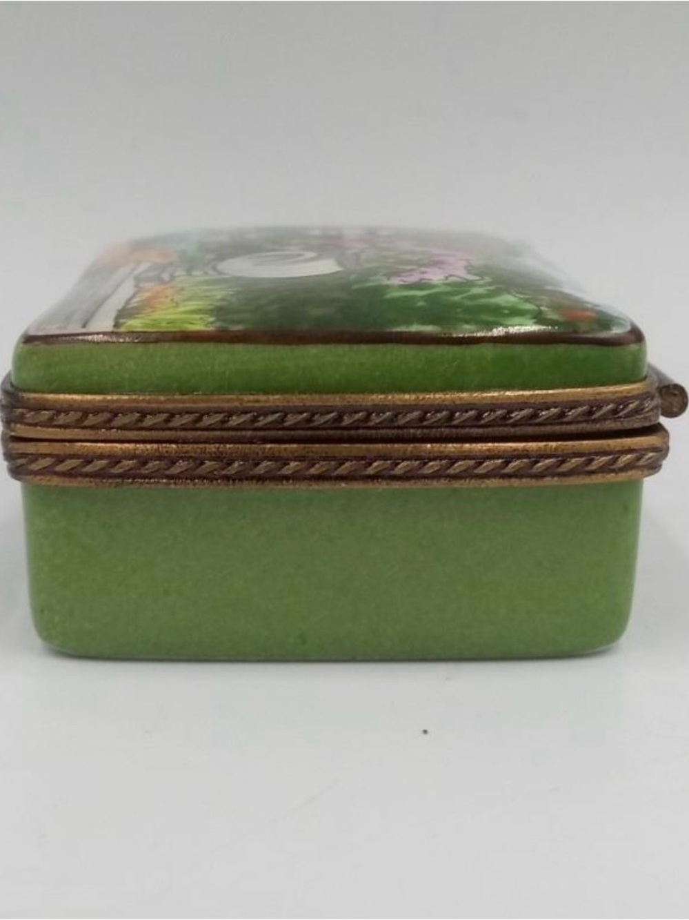 Limoges trinket box- vintage
Chicago botanical gardens - Picture 9 of 9